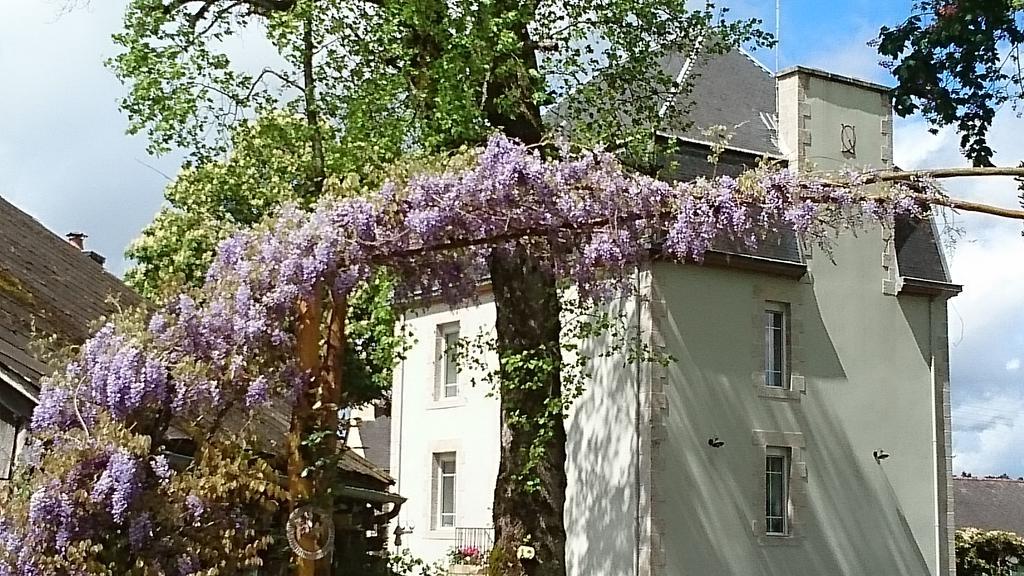 Chateau Bily B&B Hotel La Chèze المظهر الخارجي الصورة