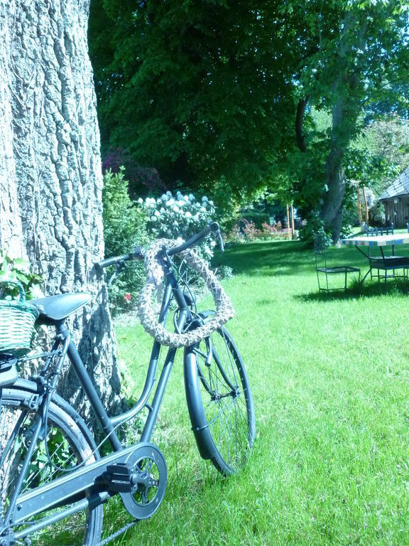 Chateau Bily B&B Hotel La Chèze المظهر الخارجي الصورة