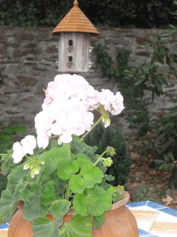 Chateau Bily B&B Hotel La Chèze المظهر الخارجي الصورة