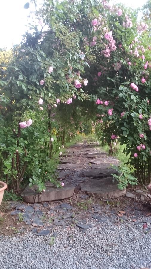 Chateau Bily B&B Hotel La Chèze المظهر الخارجي الصورة