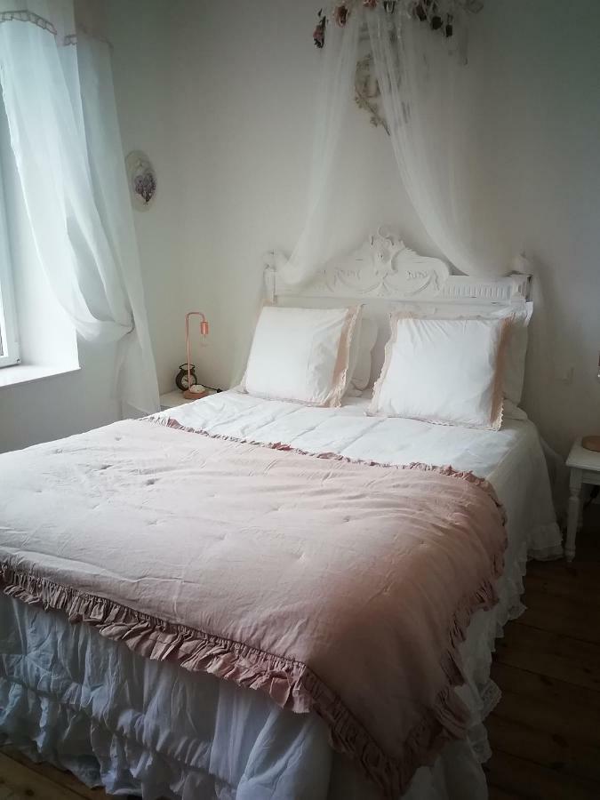 Chateau Bily B&B Hotel La Chèze المظهر الخارجي الصورة
